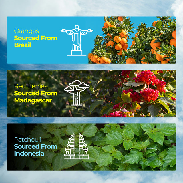 Fastrack Celeb Eau de Parfum for Women & Girls | 100 ml | Family Floral